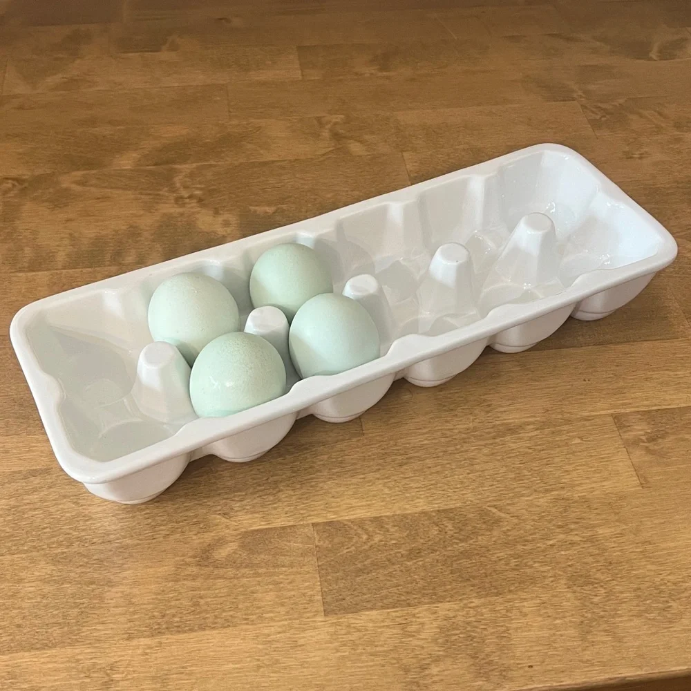 Crate & Barrel One Dozen White Hand-glazed Porcelain Egg Crate Carton